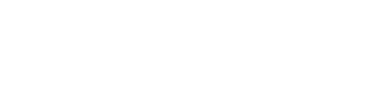 RHIDER